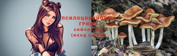 трава Алзамай