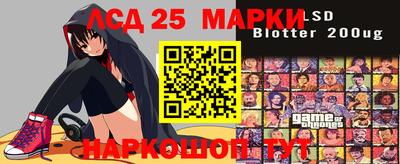 спиды Обь