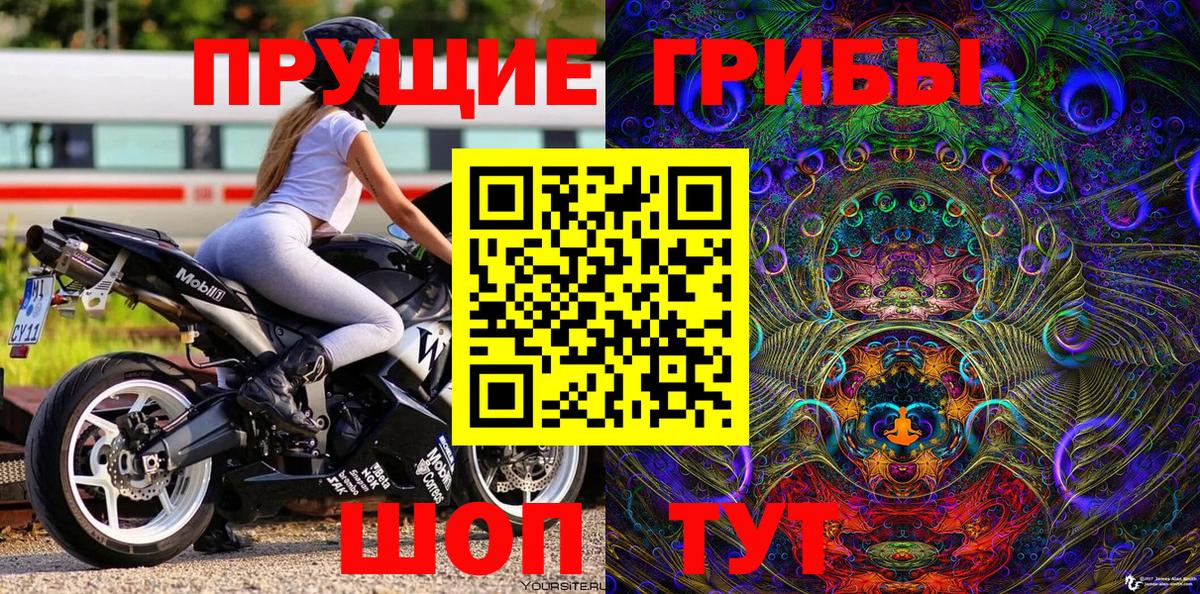 Псилоцибиновые грибы Psilocybe Татарск