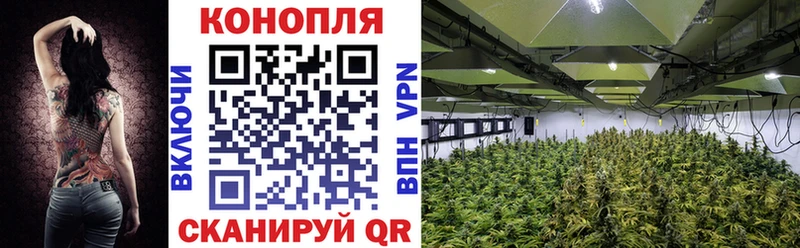 Бошки Шишки гибрид  как найти   блэк спрут онион  Татарск 